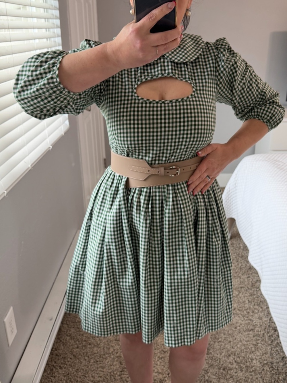 Sandy Liang Gingham Peter Pan Collar Dress with Cut-Out Green White Size 4 - Picture 15 of 16